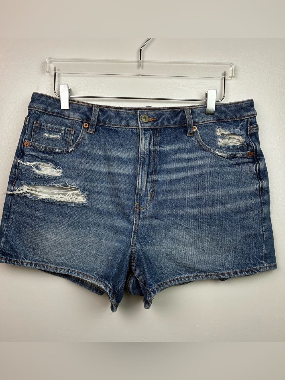 American Eagle Outfitters Strigid Denim Jeans Distressed Mom Shorts
